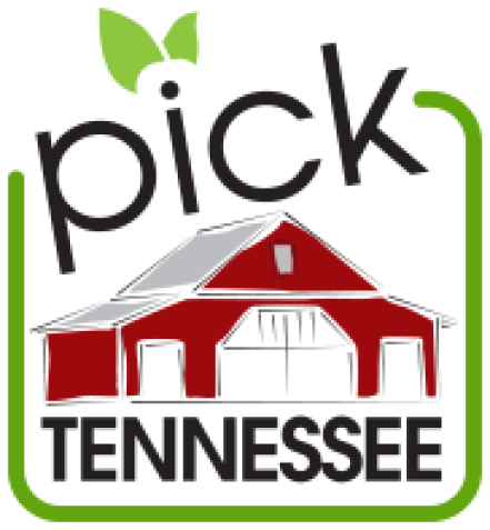 logo for Pick Tennessee, red bard with green border and two leaves