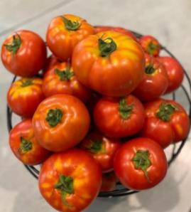 Fresh hydroponic tomatoes (photo by Mark Jennings)
